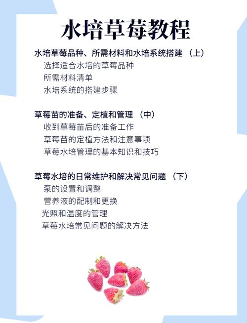 3个步骤教你安全安装草莓视频幸福宝：2025最新下载指南与常见问题解析