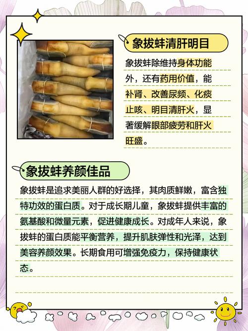 资深水产专家推荐：日本象拔蚌在线选购必看的5大避坑指南（附产地直供渠道）