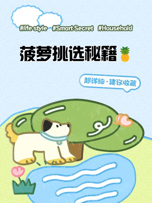 大菠萝App导航优化解析：3步实现仙踪林精准指引（附避坑指南）