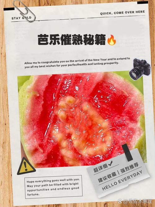 2025年芭乐无需登录的5大隐藏功能解析：免费高清视频一键获取技巧