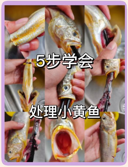 黄鱼视频最新版功能亮点与常见问题全解析：如何高效解锁隐藏技巧？