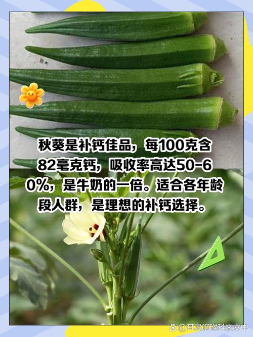丝瓜榴莲秋葵传统吃法 vs 绿巨人APP智能食谱：哪种营养搭配更科学？