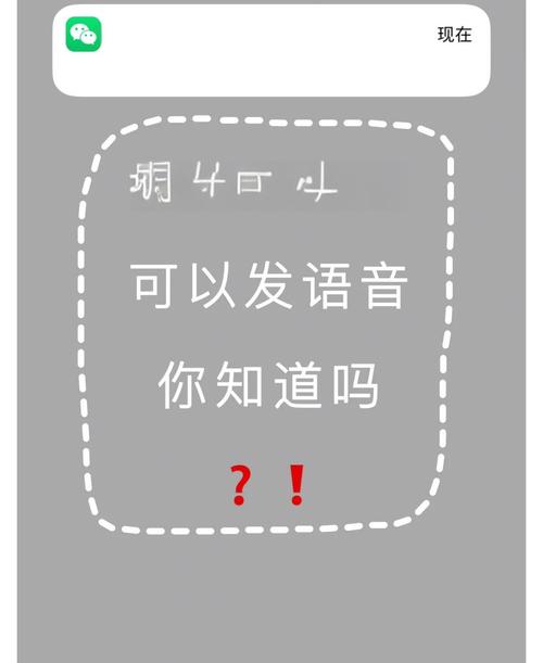 小圈app最新版本隐藏功能曝光：这3个颠覆认知的社交效率工具你用过吗？
