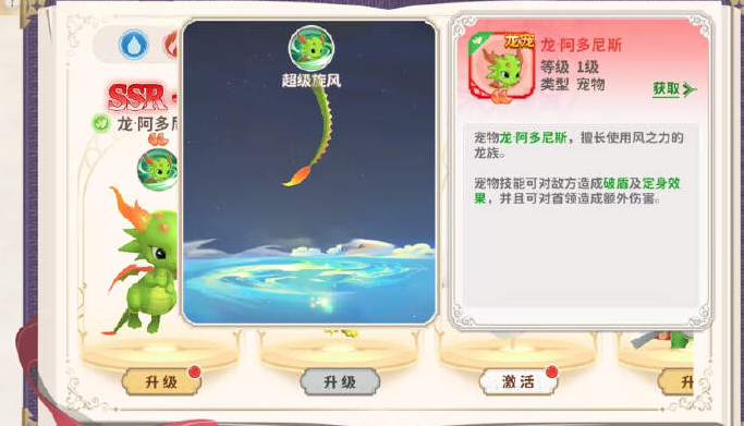 龙骑竞技场法师高效配置策略:技能与宠物完美搭配指南 龙骑竞技场法师高效配置策略:技能与宠物完美搭配指南