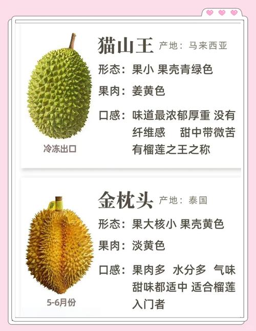 榴莲视频大全免费观看VS付费会员：高清资源哪家强？实测对比揭秘