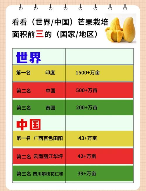 2025精品芒果产区深度解析：1区、2区、3区选购技巧与品质差异对比