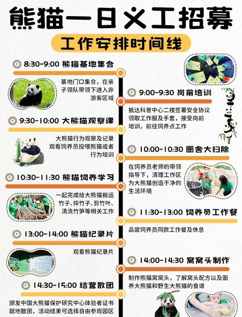 熊猫视频最新版功能解析：解锁隐藏技巧与提升观影体验必备指南