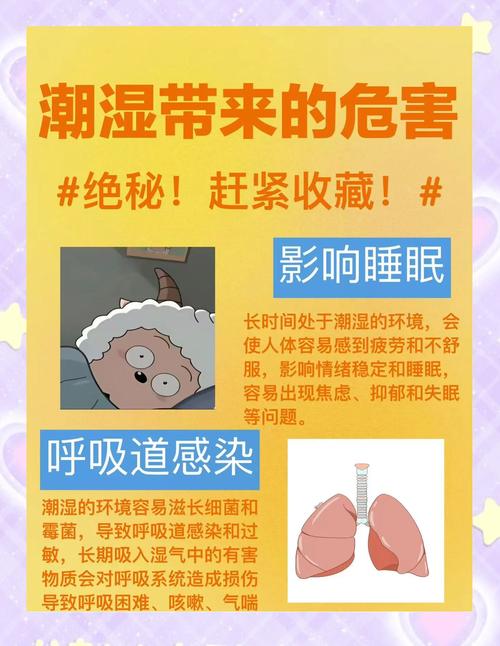 潮湿影院免费体检：3大健康隐患检测+5步防护指南，守护居家安全