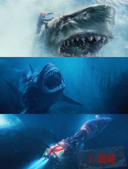 鲨鱼影视免费版V3.6.9_宣称将免费，网友：非常期待！鲨鱼影视免费版