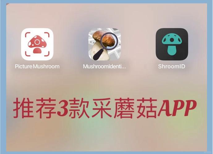 蘑菇豆见appV5.5.5_蘑菇豆见app