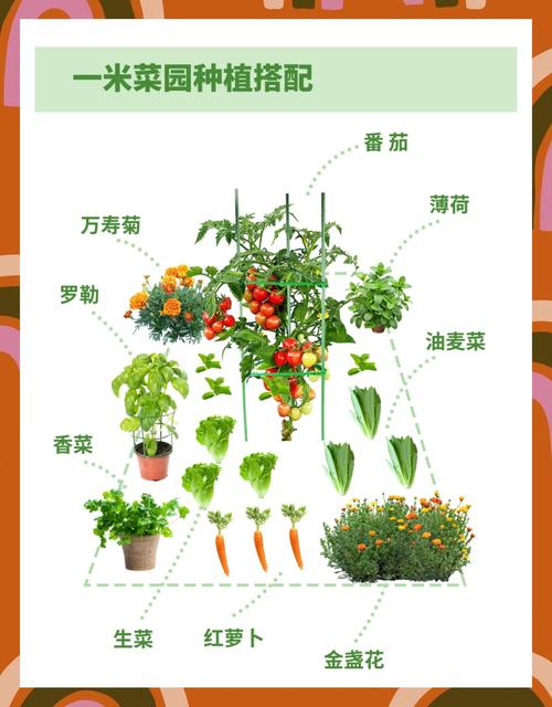 5种适合家庭种植的蔬果花卉：丝瓜草莓向日葵种植技巧及亲子园艺指南