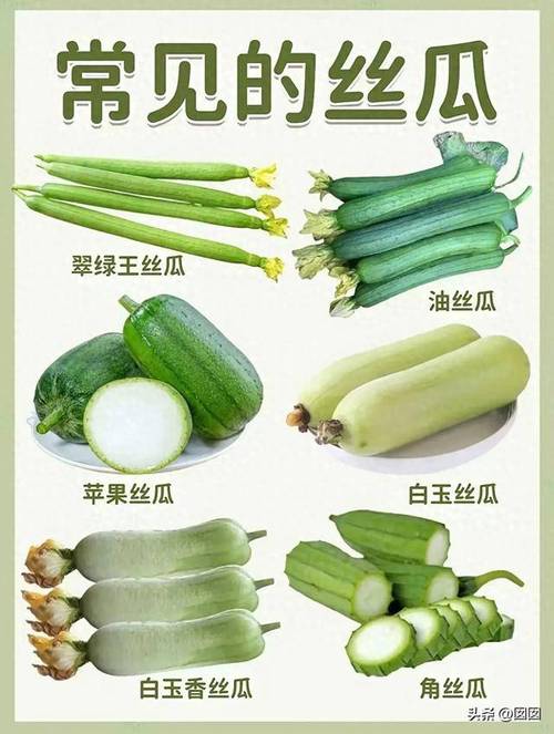 5大视角解析草莓丝瓜视频免费资源：另眼看世界的30个隐藏功能