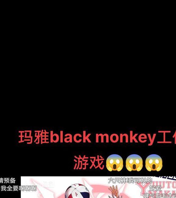 blackmonkeypro最新版V9.4.5_blackmonkeyproAPP