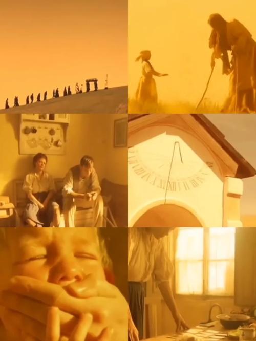 野花电影免费观看在线高清!最新版V9.1.2_野花电影免费观看在线高清!应用下载