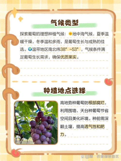 葡萄种植户必看：揭秘湿度调控核心技术 产量提升30%的行业秘密