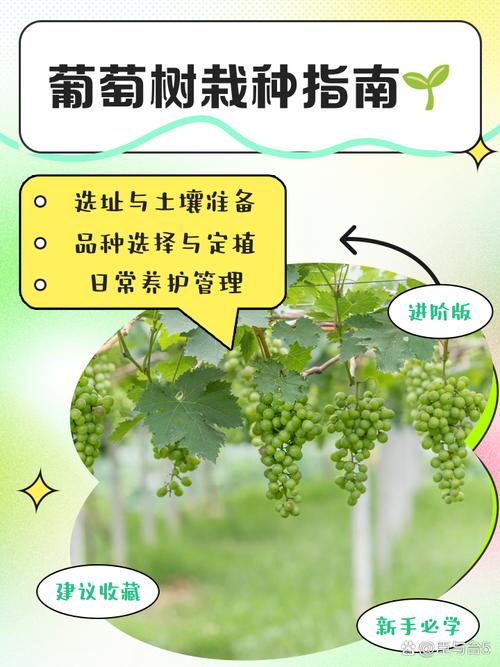 葡萄种植户必看：揭秘湿度调控核心技术 产量提升30%的行业秘密