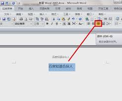 轻松掌握Word页面居中秘诀，打造专业文档排版