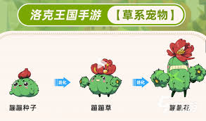 洛克王国世界宠物怎样提升-洛克王国世界宠物提升策略