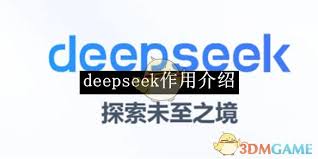 通过分析deepseek的功能-深入讨论其作用