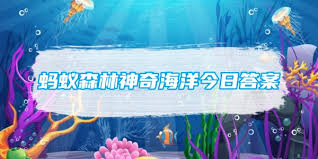 支付宝神奇海洋12.2答案-12月2日支付宝神奇海洋问题答案是什么