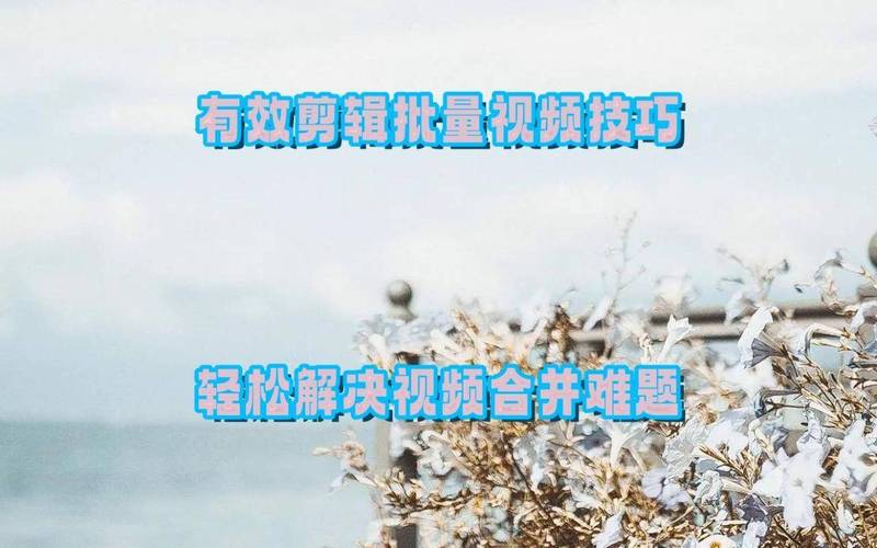 思思久热视频剪辑技巧深度解析：如何高效解决画面模糊与字幕适配难题？