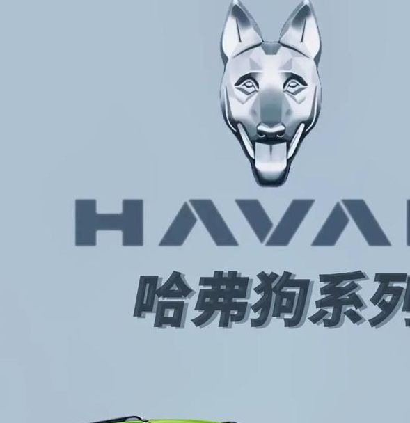 大狗vslilray在线应用V4.9.2_大狗vslilray在线APP