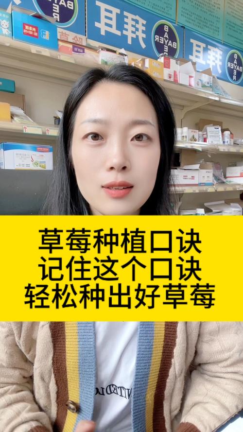 草莓视频释放自己的秘密：如何用短视频解锁压力并重塑生活新方式？