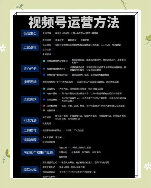 15个樱桃小视频运营秘籍：新手必看的行业专家推荐指南
