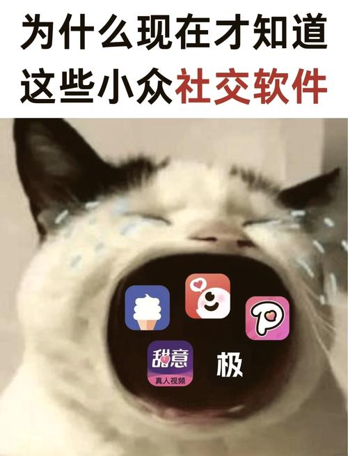 柠檬直播社交亚文化版本大更新？网友：怪不得，使用更流畅了！