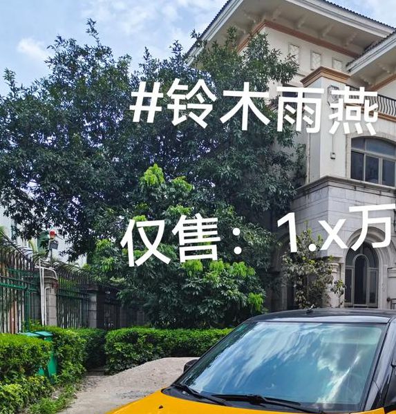 雨燕直播手机版,很不错的视频直播平台