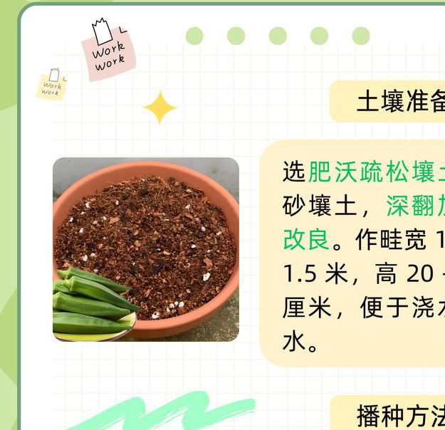 如何安全获取秋葵视频无限次数安卓版?揭秘实用技巧与风险规避 如何安全获取秋葵视频无限次数安卓版?揭秘实用技巧与风险规避