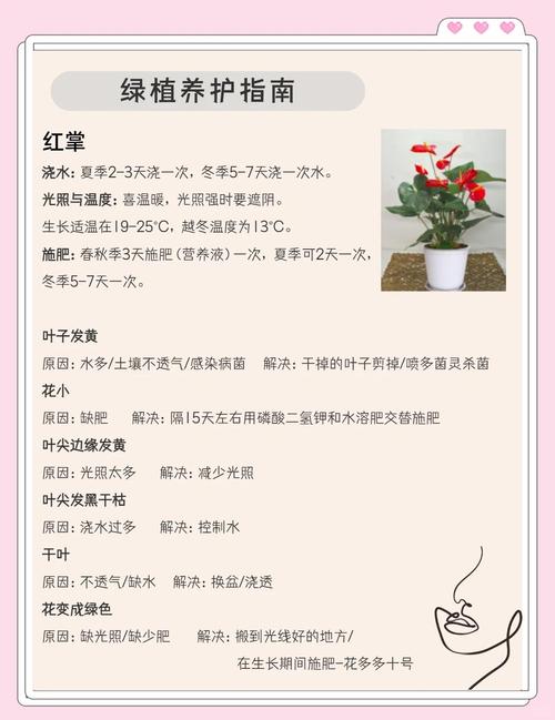 精品嫩草如何长期保持鲜嫩？这些养护技巧你一定需要