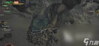 如何应对荒野缠蛙：怪物猎人中的挑战攻略