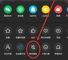 如何在UC手机浏览器中设定视频静音播放？- UC浏览器视频静音播放设置方法指南