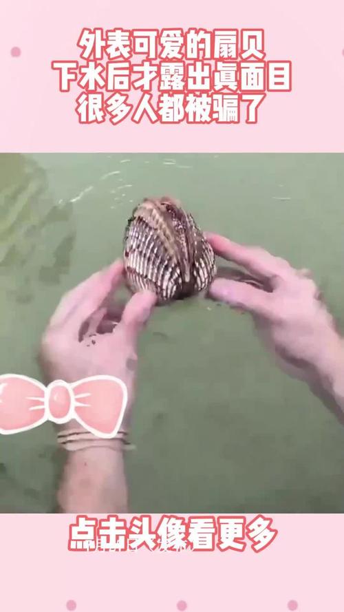 成年美女扇贝喷水视频手机版V6.6.8_成年美女扇贝喷水视频最新版