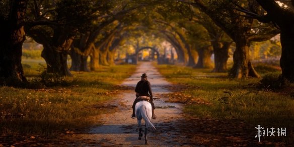 《荒野大镖客2》次世代版本即将发布？R星官网有新动向