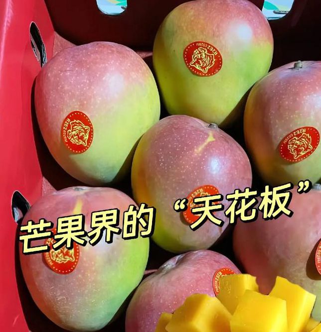 2021精品一区芒果下载手机版V6.7.4_2021精品一区芒果下载最新版