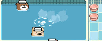 线条小狗动物温泉新手指南攻略——如何玩转线条小狗动物温泉