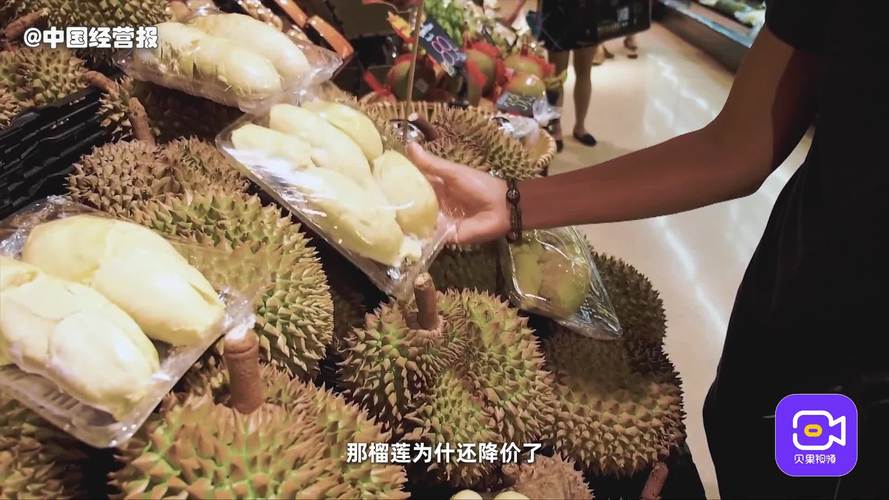 榴莲视频免费观看视频大全：如何安全获取高清资源与高效解决方案？