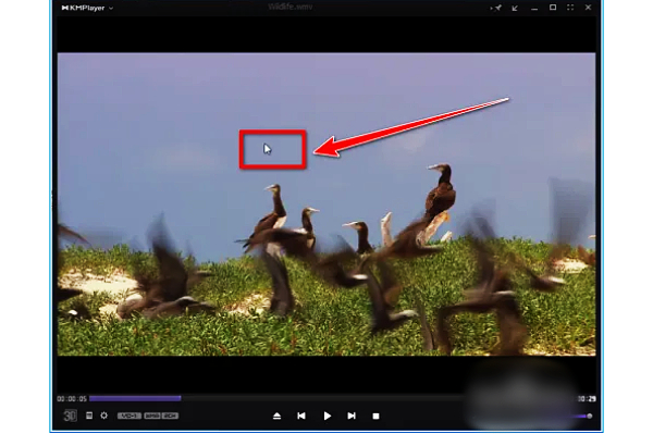 如何更改 kmplayer plus 的字幕设置？kmplayer plus 字幕调整方法指南 