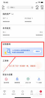 如何通过手机访问个人征信中心官网——手机查询个人征信的官网指南