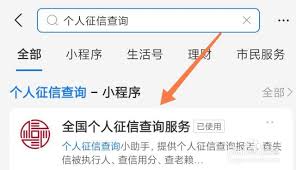 如何通过手机访问个人征信中心官网——手机查询个人征信的官网指南