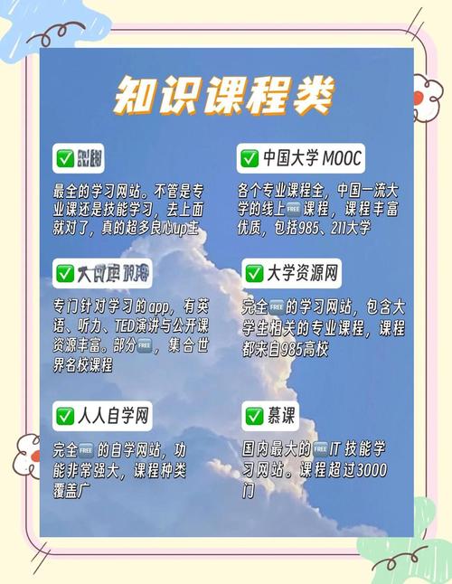 免费资源库 vs 天堂中文在线正式版：中文学习者如何选择更高效的学习工具？