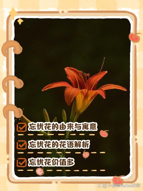 忘忧草3秒后自动跳转网站手机版V2.9.3_忘忧草3秒后自动跳转网站APP下载