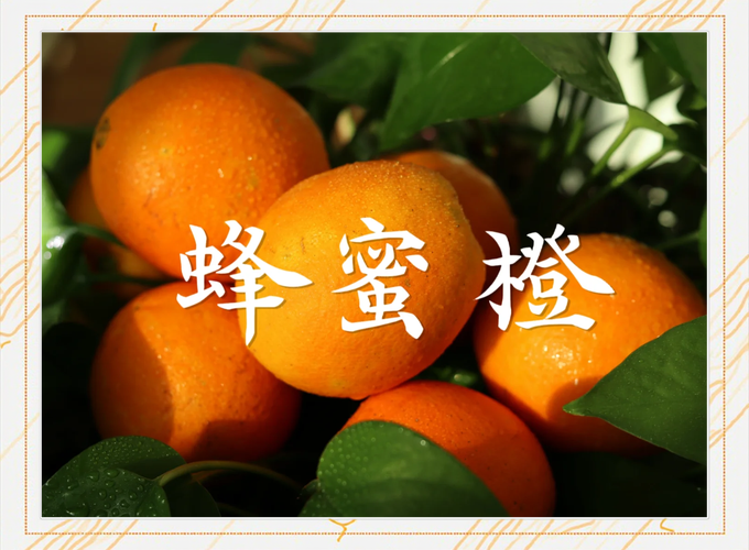 蜜橙app下载汅api免费下载最新版V7.2.5_蜜橙app下载汅api免费下载APP下载