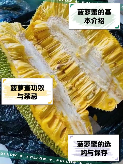 菠萝蜜污污视频手机版V5.7.5_菠萝蜜污污视频软件下载