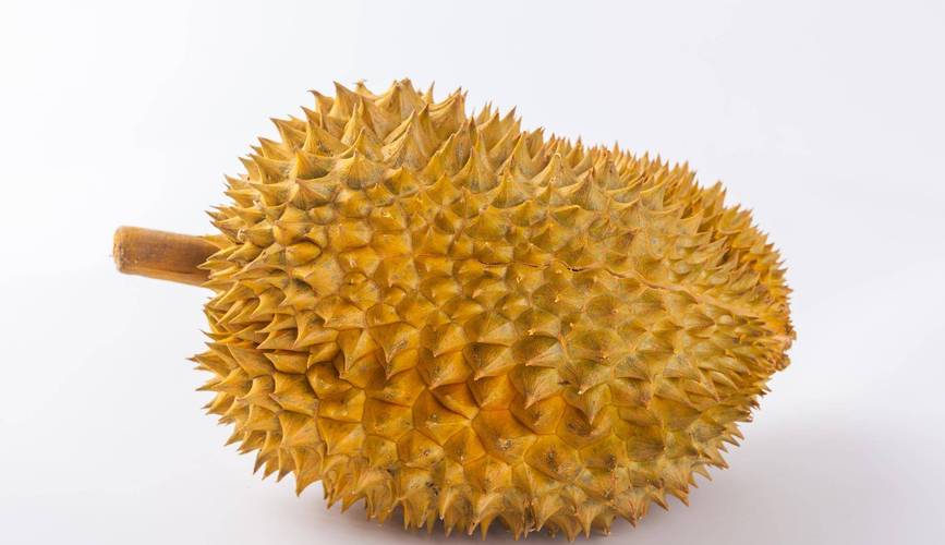 24小时榴莲视频软件V7.1.7_24小时榴莲视频APP下载