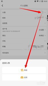 如何在随手记应用中实现用户头像的自定义更换——详解更新头像的方法