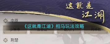 这就是江湖相马教程的保姆级秘笈分享 - 教你怎样在江湖中巧妙相马