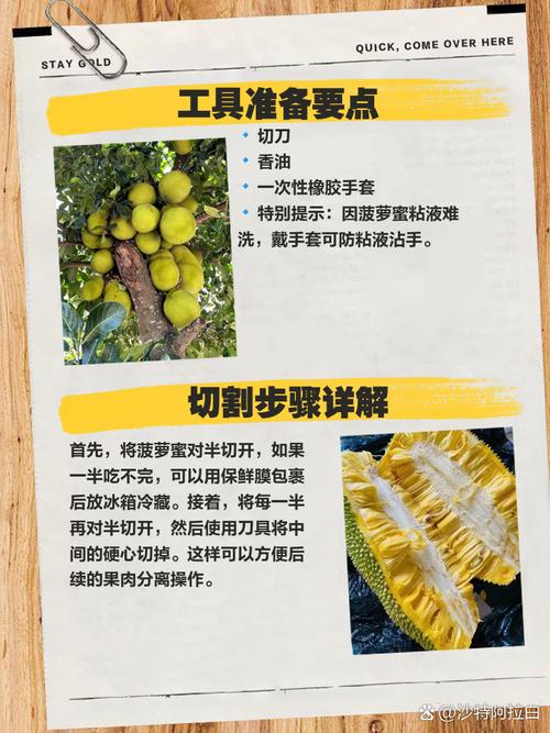 如何在萝菠萝蜜免费观看高清视频？这些隐藏技巧你知道吗？